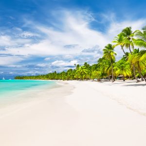 76238379 - coconut palm trees on white sandy beach in caribbean sea, saona island. dominican republic