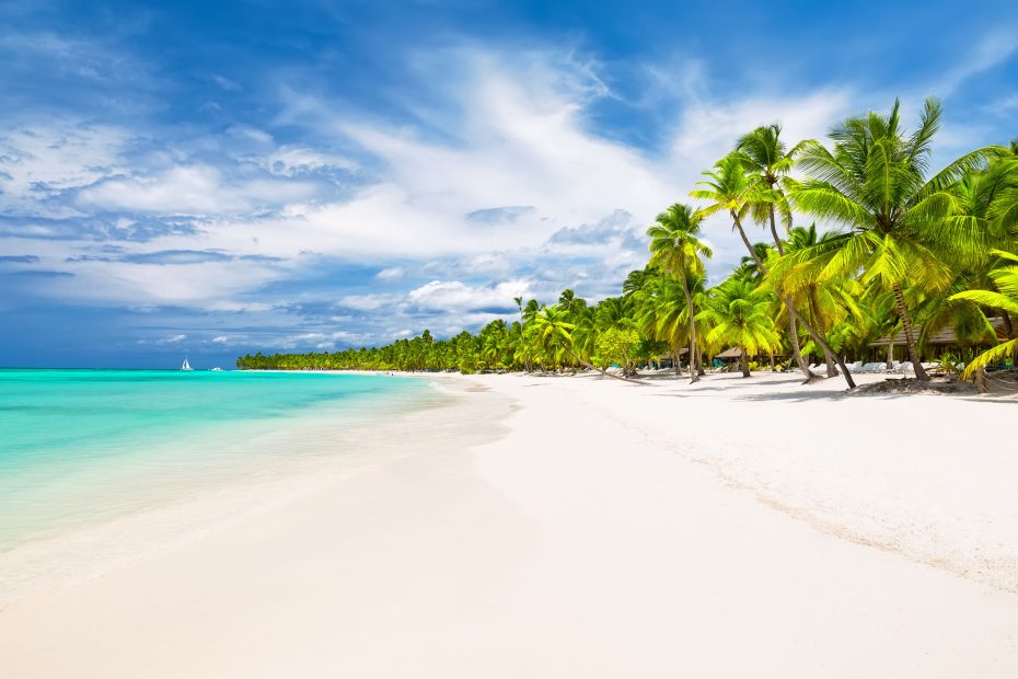 76238379 - coconut palm trees on white sandy beach in caribbean sea, saona island. dominican republic